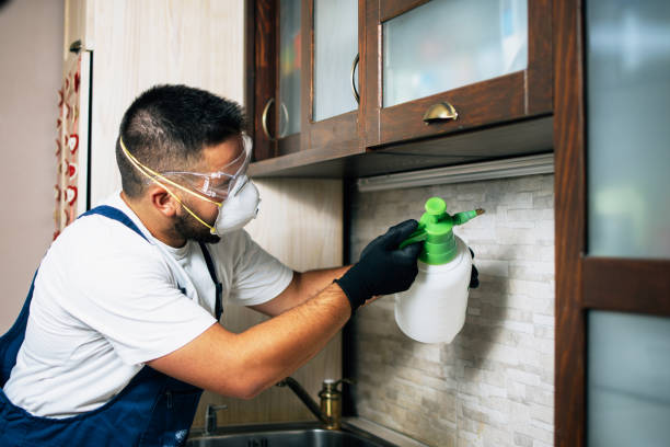 Flea Control Services in Havre, MT