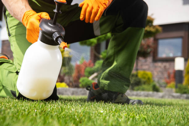 Best Mosquito Control Services  in Havre, MT