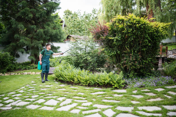 Best Pest Inspection Near Me  in Havre, MT