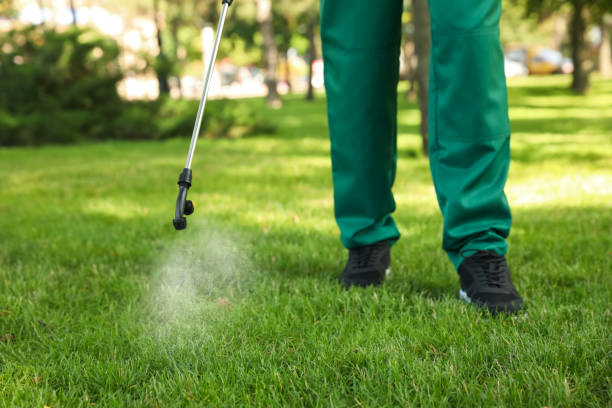 Best Pest Control for Businesses  in Havre, MT