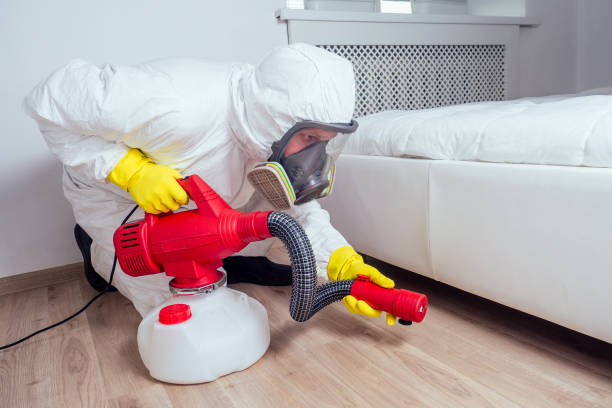 Best Flea Control Services  in Havre, MT