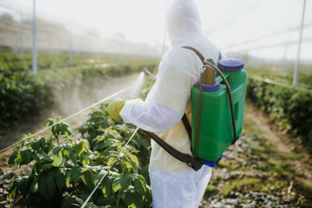 Best Affordable Pest Control Services  in Havre, MT